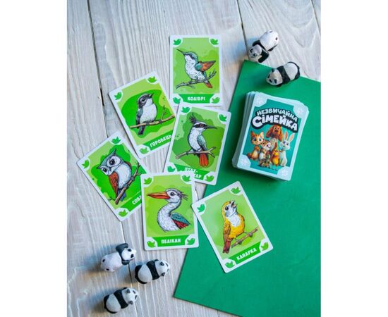 Настільна гра Ранок Незвичайна сімейка (4827476988726), зображення 7