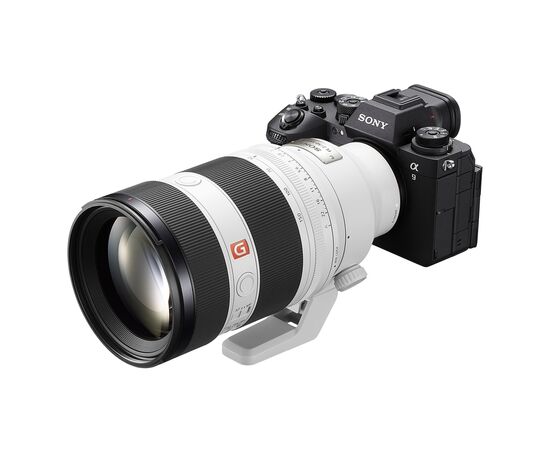 Объектив Sony 50-150mm f/2.0GM White для NEX FF (SEL50150GMW.SYX), изображение 11