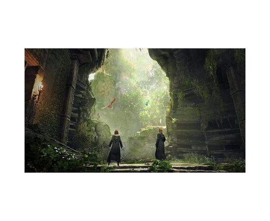 Гра Sony Hogwarts Legacy. Deluxe Edition, BD диск (5051895415412), зображення 5