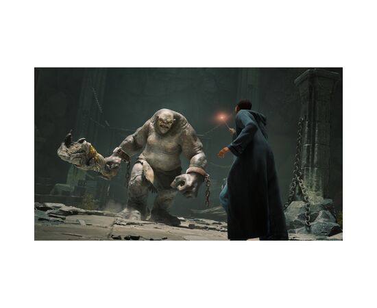 Гра Sony Hogwarts Legacy. Deluxe Edition, BD диск (5051895415412), зображення 6