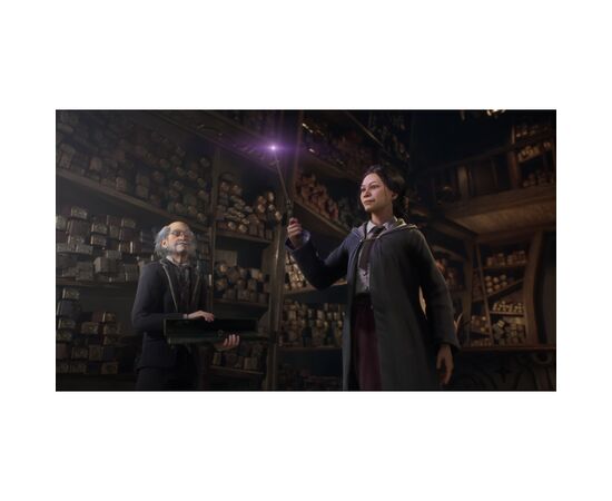 Гра Sony Hogwarts Legacy. Deluxe Edition, BD диск (5051895415412), зображення 7