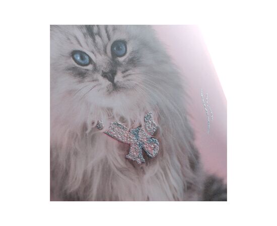 Папка на резинках Kite A4 Rachael Hale (R25-247), изображение 4