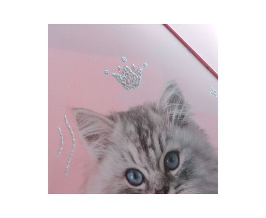 Папка на резинках Kite A4 Rachael Hale (R25-247), изображение 5