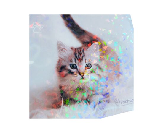 Папка – уголок Kite А4 Rachael Hale (R25-244), изображение 3