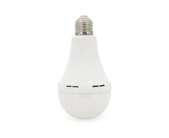 Фонарь Almina DL-2030 30W, 2700Лм, 6400K (DL-2030)