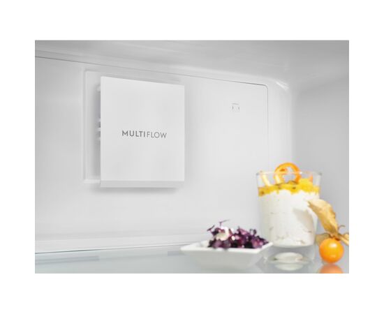 Холодильник Electrolux LRT7ME39X, зображення 9