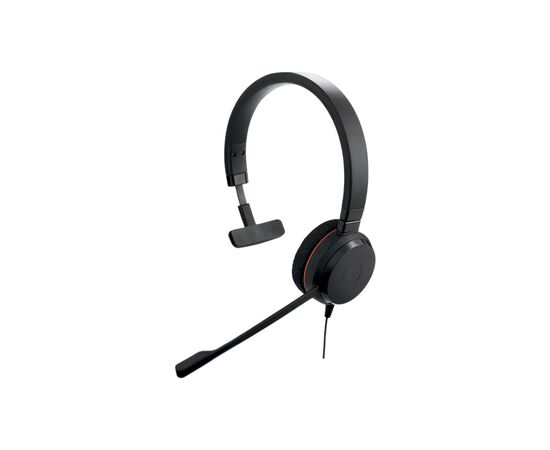 Наушники Jabra Evolve 20 MS USB C/A Mono (4993-823-169)