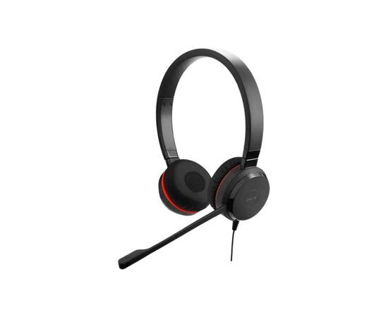 Наушники Jabra Evolve 20 SE MS USB-C/A Stereo Black (4999-823-369)