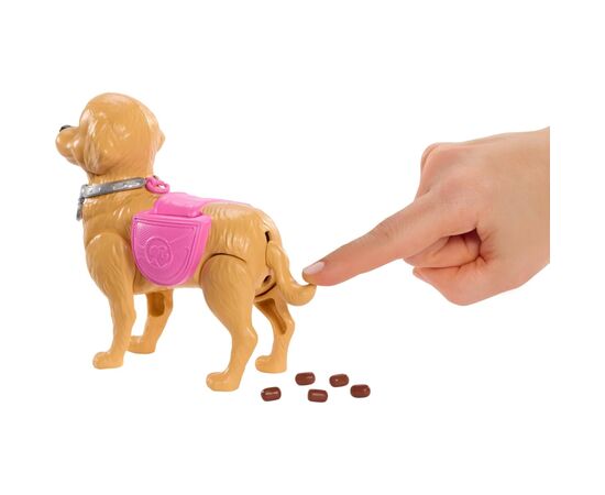 Лялька Barbie Прогулянка з песиком (JJB46), зображення 6