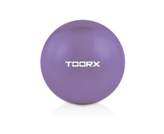 Мяч для фитнеса Toorx Toning 1,5 кг Viola (AHF-066) (932102)
