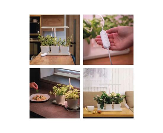 Настільна лампа EMOS LED лампа для рослин 7 W з таймером (Z7904), зображення 12