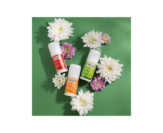Дезодорант Weleda Sea Buckthorn 24h Deo Roll-On 50 мл (4001638502399), изображение 3