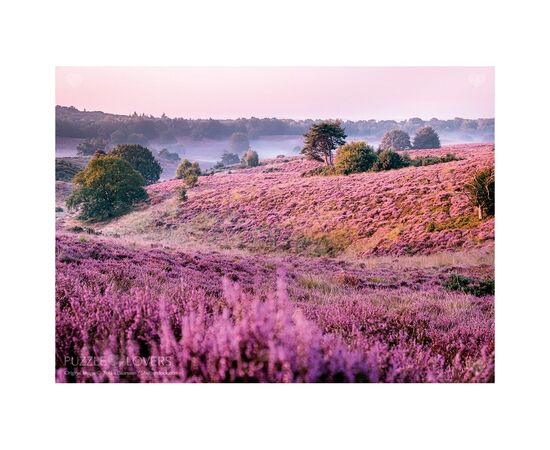 Пазл Tactic Болота, покрытые вереском, 1000 элементов (56750), изображение 2