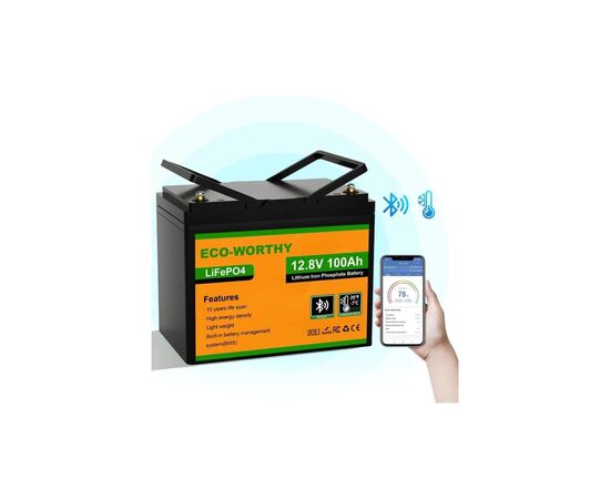 Батарея LiFePo4 Eco-Worthy 12.8V 100Ah LCD (Eco-Worthy-12100bt)