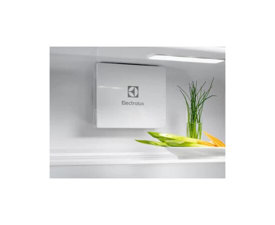 Холодильник Electrolux LNG7TE18S, зображення 4