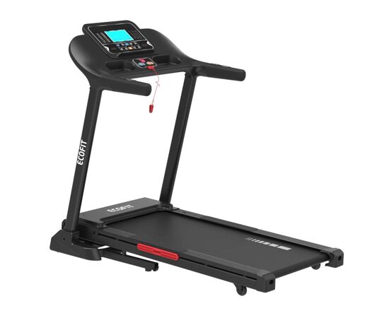 Беговая дорожка Ecofit E-T296