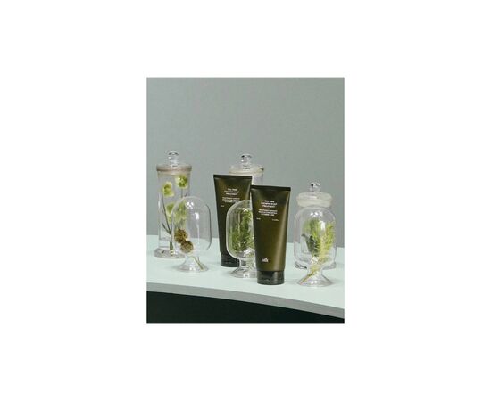 Шампунь La'dor Tea Tree Calming Scalp Shampoo 330 мл (8809982981176), изображение 3