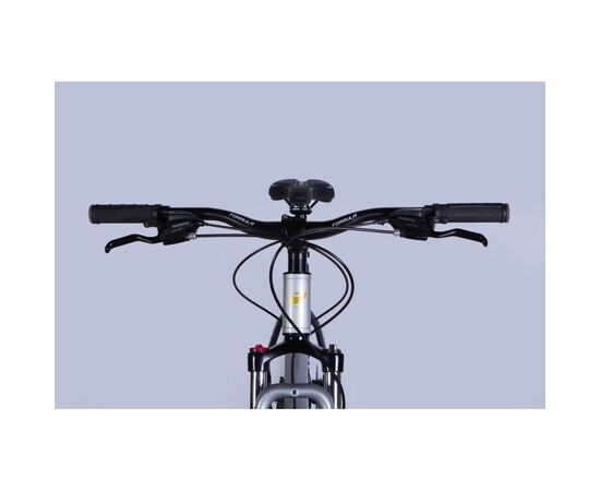 Велосипед Formula 29" F-1 DD CS рама-19" AL 2026 сріблясто-чорний (OPS-FR-29-436), изображение 6