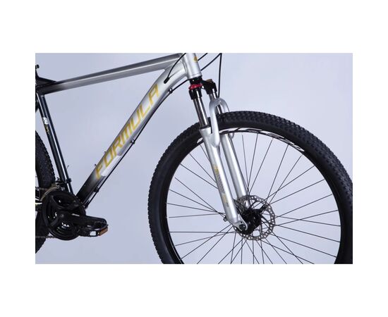 Велосипед Formula 29" F-1 DD CS рама-21" AL 2026 сріблясто-чорний (OPS-FR-29-438), зображення 4