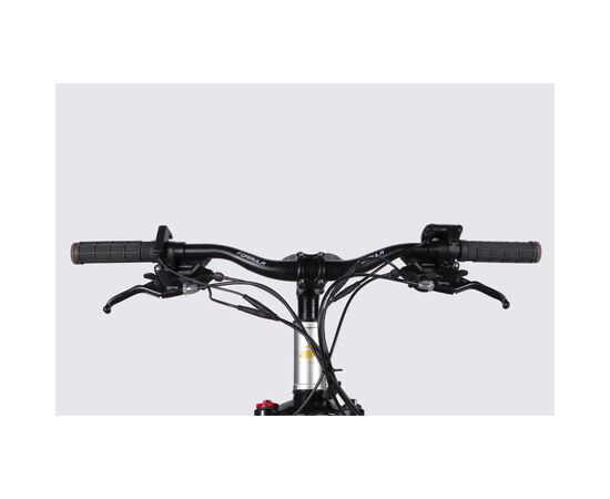 Электровелосипед Formula 29" eF-1 DD CS рама-18,5" 48B 17.5А*г 500Вт 2026 сріблясто-чорний (ELB-FR-29-252), изображение 6