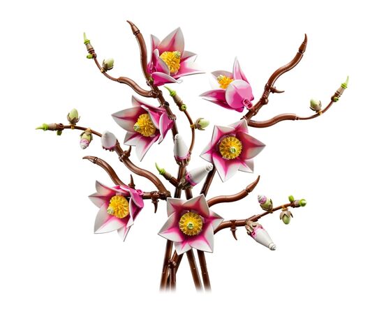 Конструктор LEGO Botanicals Magnolia Branches (11510), изображение 2