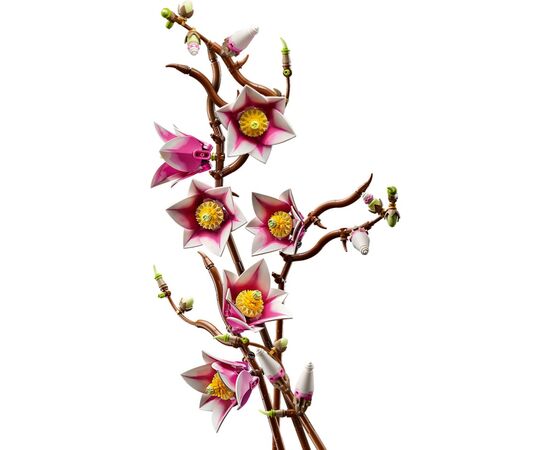 Конструктор LEGO Botanicals Magnolia Branches (11510), изображение 5