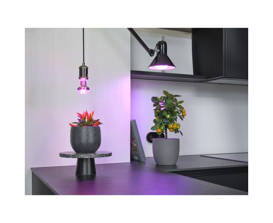 Лампочка Osram LED T80 GROW 20W CL 230V FR E27 (4058075845800), изображение 9