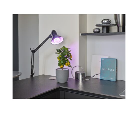 Лампочка Osram LED T60 GROW 10W CL 230V FR E27 (4058075845787), изображение 10