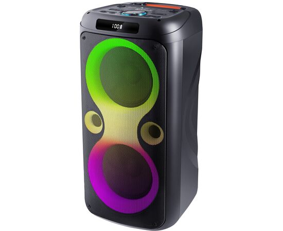 Акустическая система Defender Boomer 100 Black (65099)