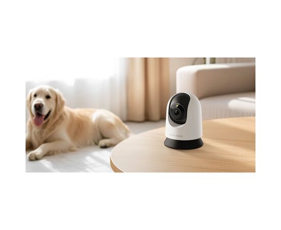 Камера видеонаблюдения Mercusys IP-Камера MERCUSYS MC230 5MP N300 microSD motion detection. AI (MC230), изображение 2