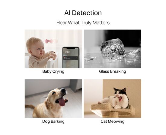 Камера видеонаблюдения Mercusys IP-Камера MERCUSYS MC230 5MP N300 microSD motion detection. AI (MC230), изображение 7