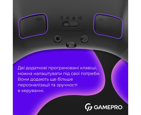 Геймпад GamePro із зарядною станцією BT 5.3/USB/2.4 ГГц (Switch/PC/iOS/Android) RGB Black (GPX13BDOC), изображение 8