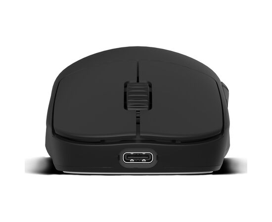 Мышка Endgame Gear OP1 4k v2 Wireless Black (PGW-EG-MOU-071), изображение 7