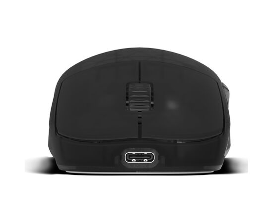 Мышка Endgame Gear OP1 4k v2 Wireless Transparent black (PGW-EG-MOU-073), изображение 7