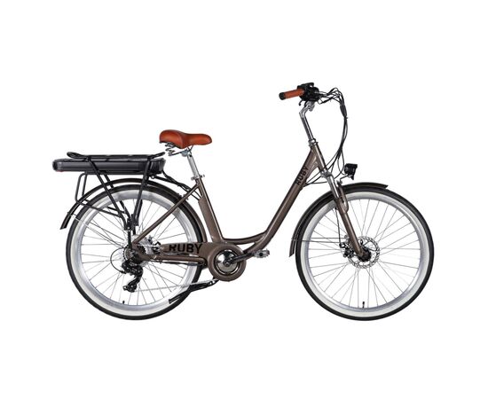 Электровелосипед Dorozhnik 26" eRUBY DD FR рама-17" 48B 15А*г 500Вт 2026 мокрий асфальт (ELB-D-26-303)
