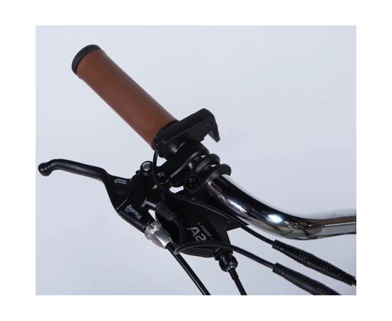 Электровелосипед Dorozhnik 28" eRETRO Vbr FR рама-19" 36B 13А*г 500Вт 2026 чорний (ELB-D-28-113), изображение 7