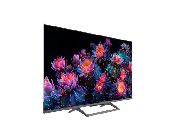 Телевізор Ergo 55MQ90, зображення 9