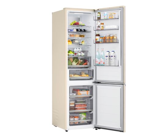 Холодильник LG GC-B509EEKM, изображение 17