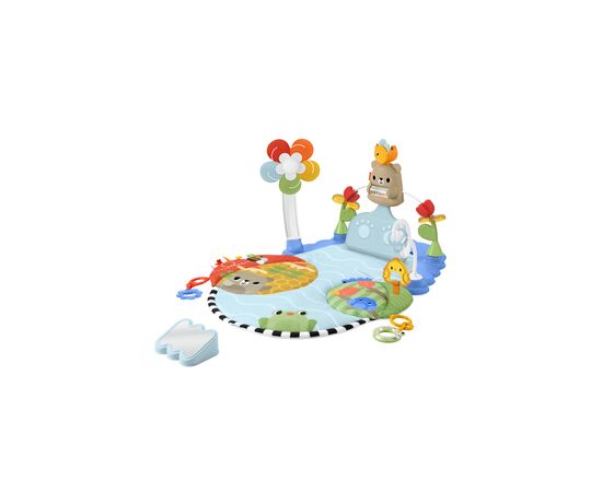 Детский коврик Fisher-Price игровой центр Гармония активного развития (HYR60)
