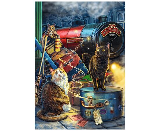 Пазл Trefl Premium Plus Магическая коллекция: Witchwood Express, 1000 элементов (5900511108972), изображение 2