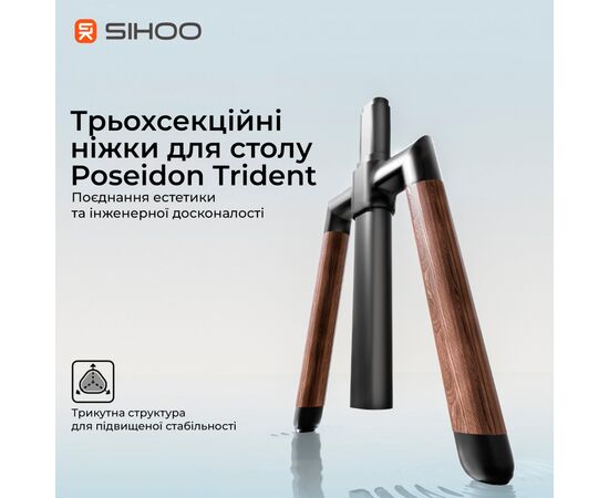 Компьютерный стол Sihoo с электрорегулировкой высоты D07 1.6m Walnut/Black (D07B-101/D07J-101-AB), изображение 12