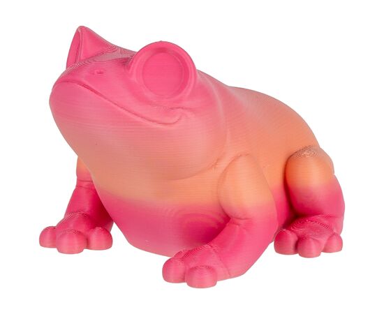 Пластик для 3D-принтера Polymaker PLA PANCHROMA GRADIENT MATTE 1,75mm 1kg SPRING (CA04056), изображение 4