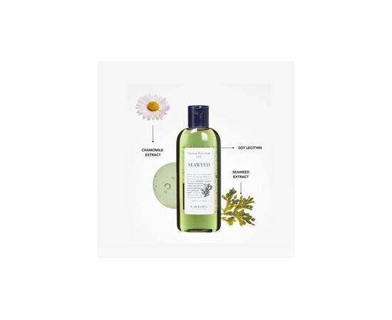 Шампунь Lebel Seaweed Shampoo 240 мл (4952195621385), изображение 2