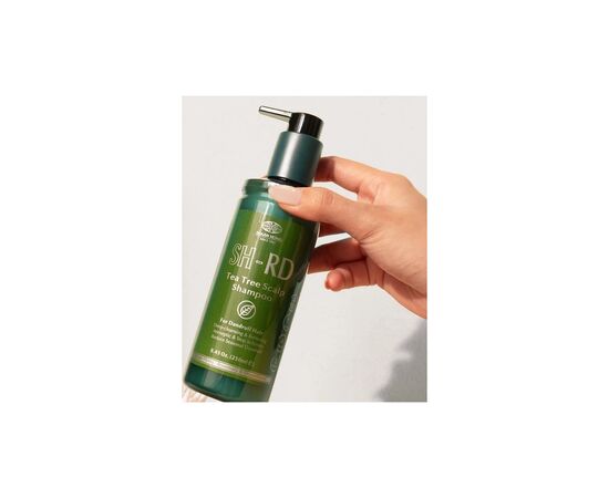 Шампунь SH-RD Tea Tree Scalp Shampoo Проти лупи на основі масла чайного дерева 250 мл (652418101338), зображення 4