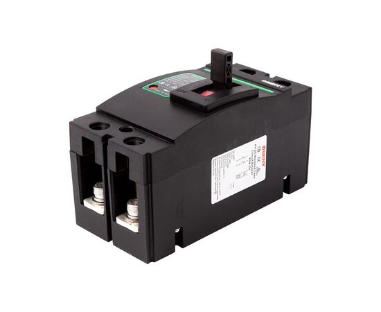 Автоматический выключатель BENY 2P, 250A, 500VDC (NV821389), изображение 2