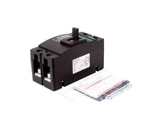 Автоматический выключатель BENY 2P, 250A, 500VDC (NV821389), изображение 4