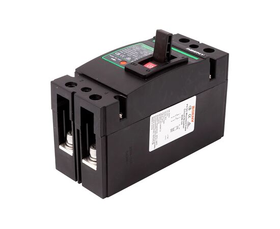 Автоматический выключатель BENY BDM-125 (NV822621), изображение 2