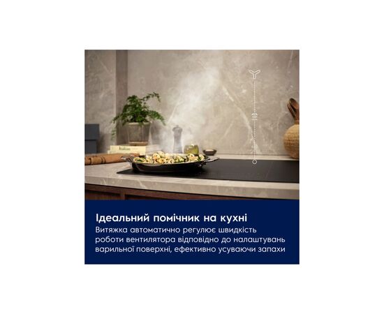 Вытяжка кухонная Electrolux CFG526R, изображение 4