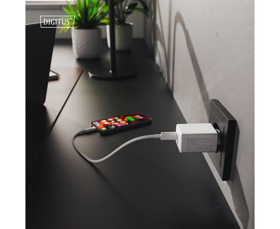 Зарядное устройство Digitus 1xUSB-C + 1xUSB 30W GaN (DA-10301), изображение 2