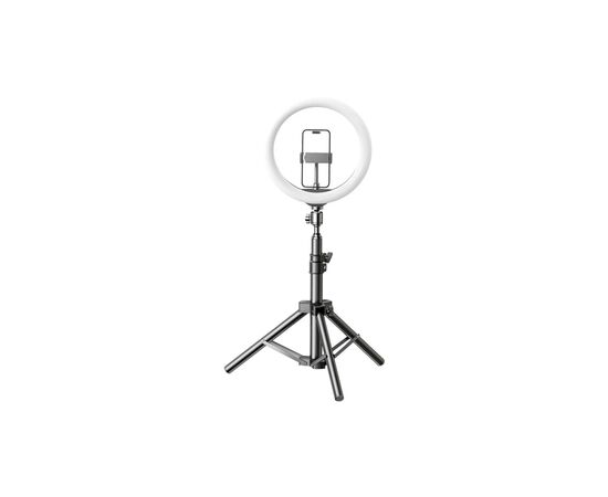 Набор блогера RTAKO ZJ-ZBT01 Live Streaming Stand with Ring Light and Floor Tripod (6942063215400)